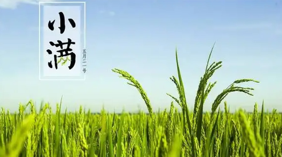 小滿時節(jié)！金環(huán)電器提醒大家要注意的事項