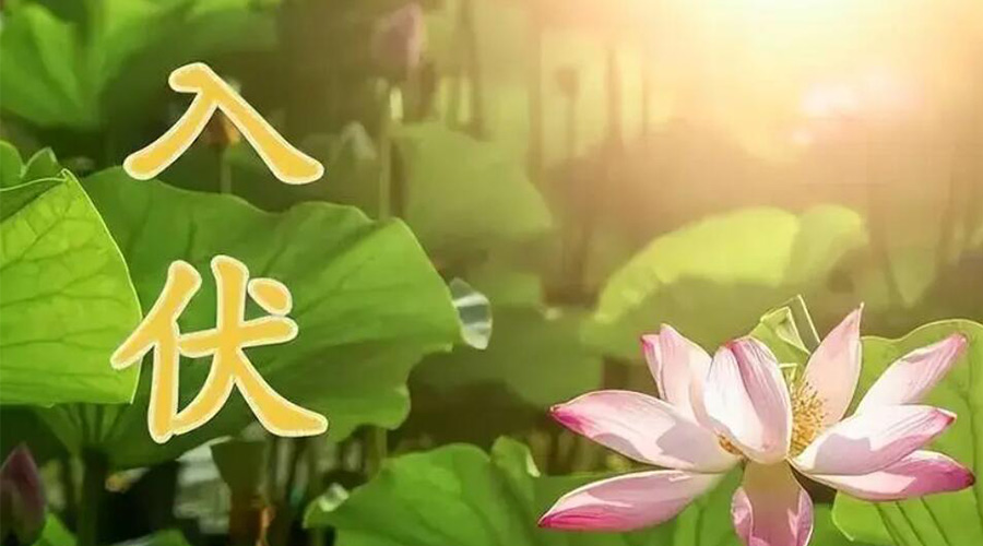 入伏天來(lái)襲！金環(huán)電器提醒大家要注意的事項(xiàng)