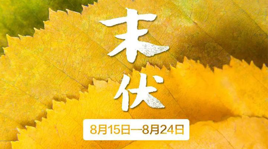末伏時節(jié)！金環(huán)電器提醒你謹(jǐn)記這些注意事項
