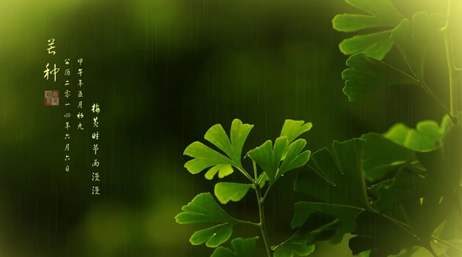 芒種時(shí)節(jié)！金環(huán)電器提醒大家的注意事項(xiàng)