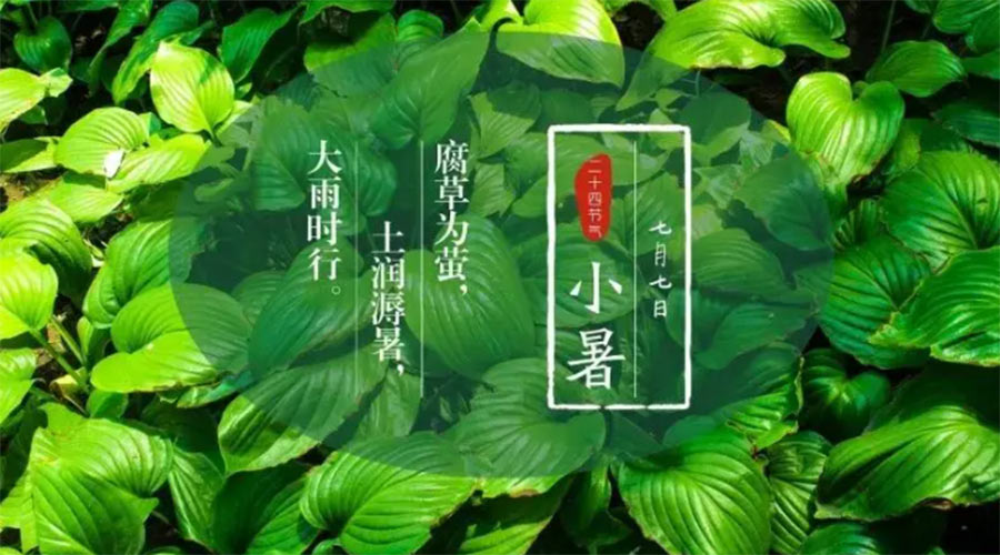 小暑時節(jié)來到！金環(huán)電器提醒大家要注意的事項