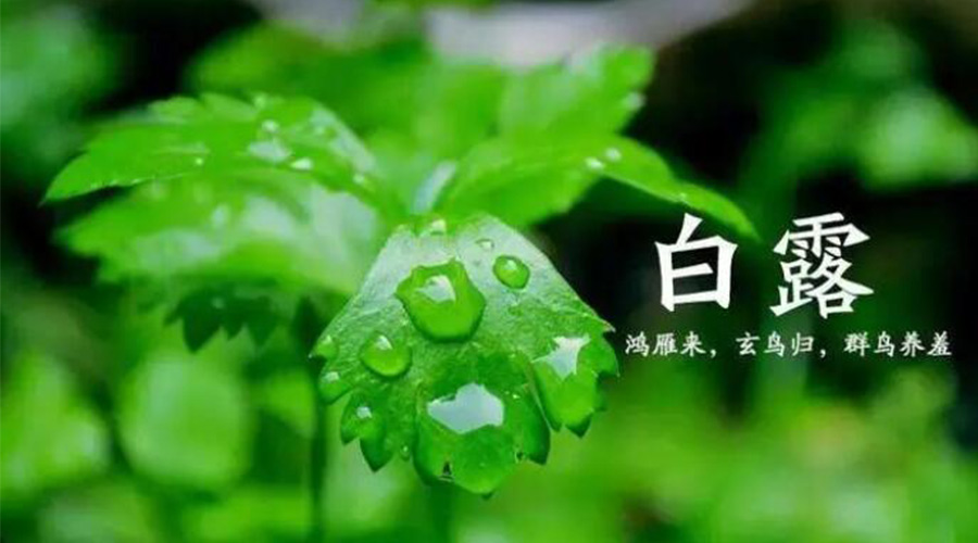 白露時(shí)節(jié)！金環(huán)電器提醒大家要注意的事項(xiàng)