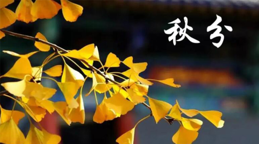 秋分時(shí)節(jié)！金環(huán)電器提醒大家要注意的事項(xiàng)
